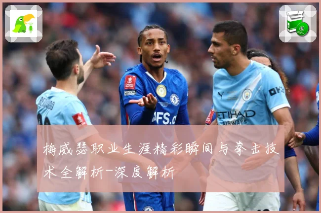 梅威瑟职业生涯精彩瞬间与拳击技术全解析-深度解析